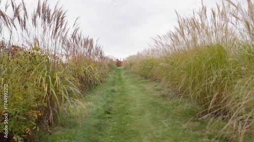 This visually striking video showcases glowing string lights, warm pumpkin displays, and inviting benches nestled in rich autumn foliage beneath soft, cloudy skies, creating a cozy ambiance.
