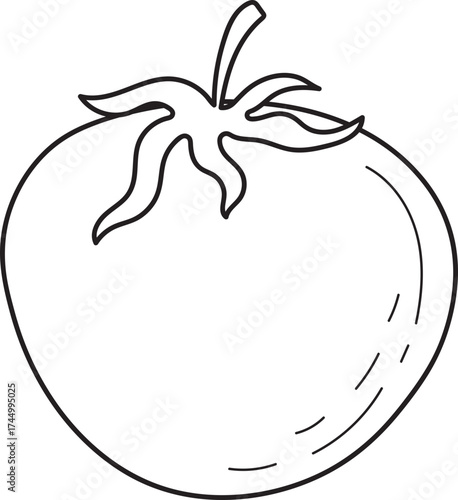 Tomato line art illustration. Simple outline drawing of a fresh vegetable. Uncolored graphic design element for coloring books.