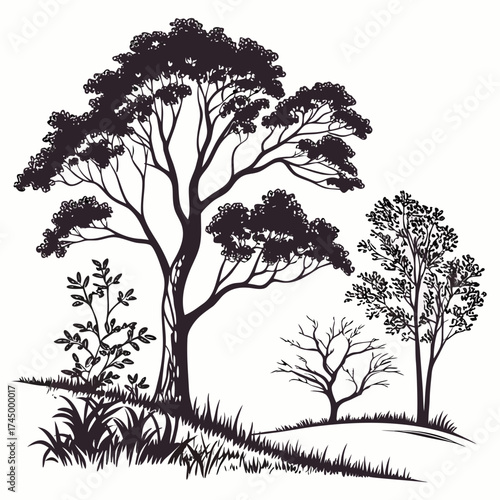 Silhouette of a group of trees on a hill the trees are of different sizes and shapes, and they are all bare the hill is covered in grass