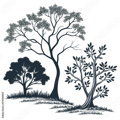 Three trees of different shapes and sizes are silhouetted against an, creating a simple yet elegant design that captures the beauty of nature