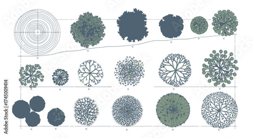 Architectural trees vector illustration, top view blueprint for landscape design, white background