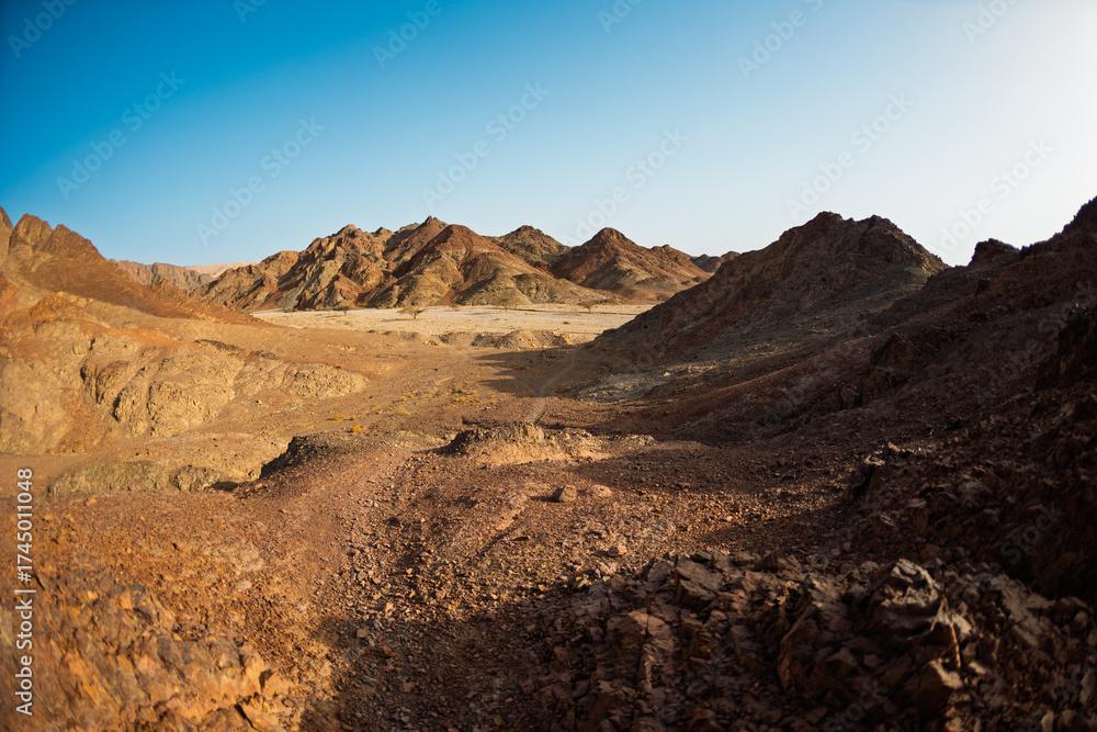 Fototapeta premium Mountains in the desert. Traveling through the desert of Israel. Tourism and travel in Israel. Eilat.