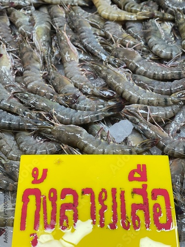 fresh fish on the market