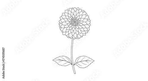 A delicate dotted illustration of a single flower with two leaves emerging from its stem.