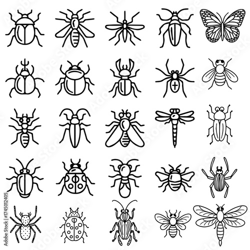 Collection of various insects bugs and beetles meticulously drawn in a vintage style perfect for entomological studies or scientific illustrations