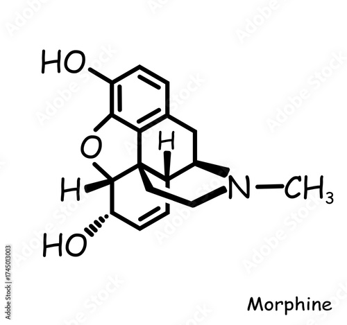 Tableau sur toile The Chemical structure of morphine