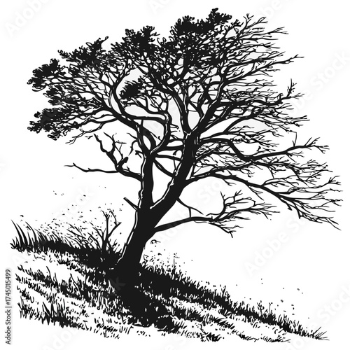 Silhouette of a solitary bare tree with intricate branches on a grassy slope against a white background