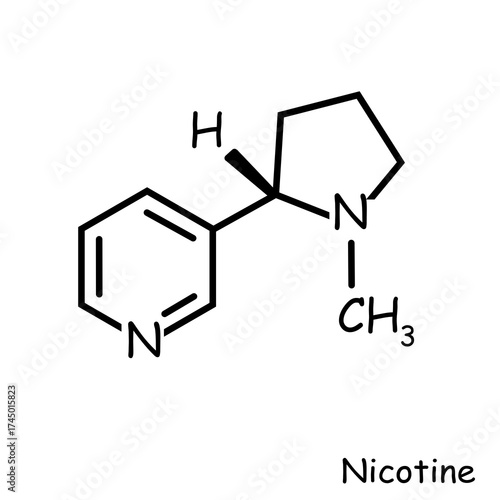 Cuadro en lienzo The Chemical structure of nicotine