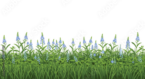 A field of tall green grass with delicate blue flowers blooming vibrantly on a bright clear day.