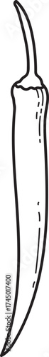 Spicy Chili Pepper Line Art Illustration. Hand-drawn outline of a hot pepper for food and culinary design projects.
