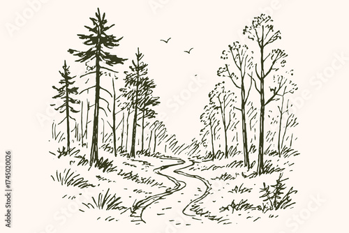 Forest path landscape sketch with trees vector illustration