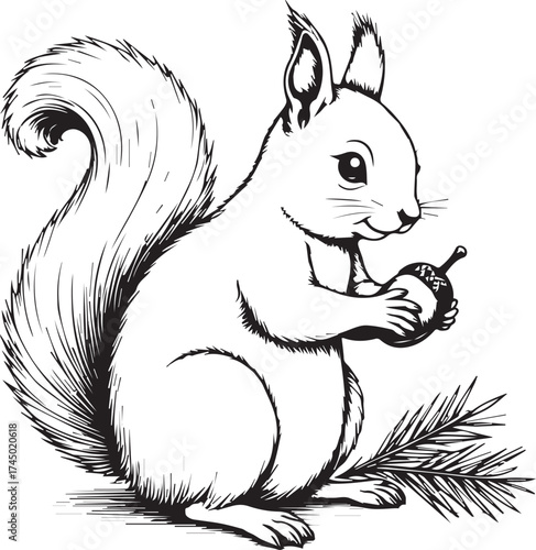 A cute Squirrel Holding Nut: A detailed ink drawing of a curious squirrel clutching an acorn, with its fluffy tail held high.