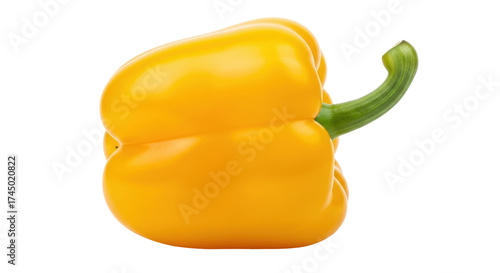 Isolated yellow bell pepper, single sweet vegetable, fresh, raw food ingredient for culinary use
