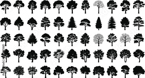 Tree silhouette collection, forest tree icons, botanical vector set, landscape design elements, black tree graphics, woodland illustration, nature foliage artwork