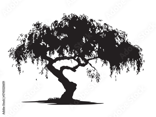 Beautiful Willow Tree Silhouette Minimal Nature Design 2D Vector Line Illustration