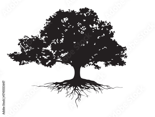 Sprawling Elm Tree With Roots 2D Vector Line Art Illustration