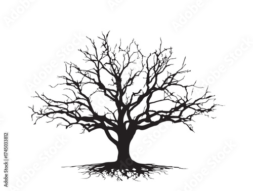 Artistic Elm Tree With Roots Minimal 2D Vector Line Illustration