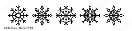 Snowflake shapes set. Geometric crystal snow flake forms, line design element...