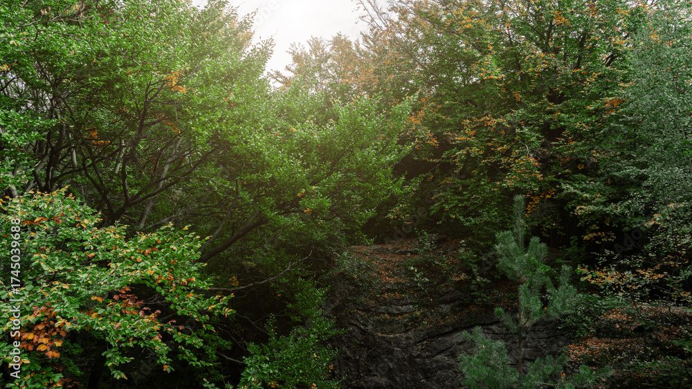 Obraz premium wild forest summer panorama background with green foliage and rocks picturesque majestic scenery view and sun cold light glare