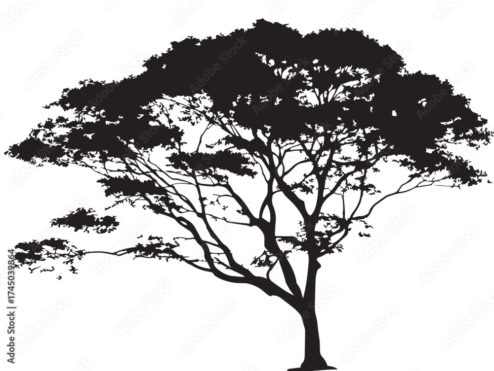 Fototapeta premium Tree Against Sky Silhouette 2D Vector Line Art Illustration