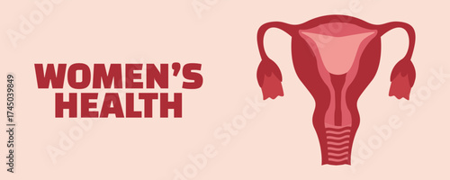 Women's health and gynecology concept. Vector illustration of the uterus and female reproductive system for educational, medical, or awareness purposes