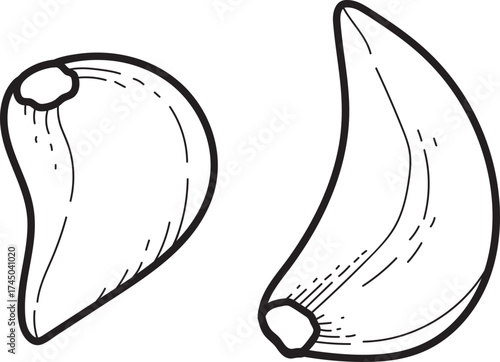 Garlic Cloves Outline Drawing