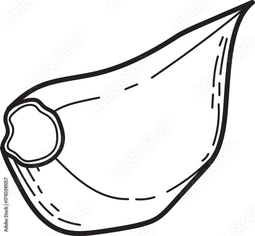 Garlic Clove Outline Illustration