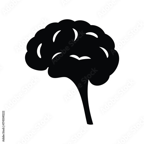 Black and white illustration of human brain anatomy, symbol of intelligence