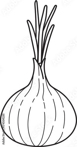 Onion with green sprouts line art illustration. Simple vector outline icon for food, cooking, and ingredient designs.