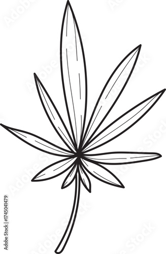 Cannabis Leaf Line Art Vector Illustration. Black and White Marijuana Plant Outline.