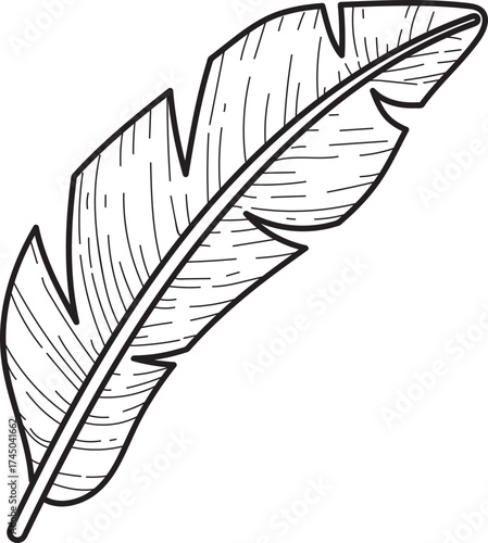 Hand-drawn Banana Leaf Line Art Illustration. Tropical Botanical Doodle. Exotic Foliage Element.