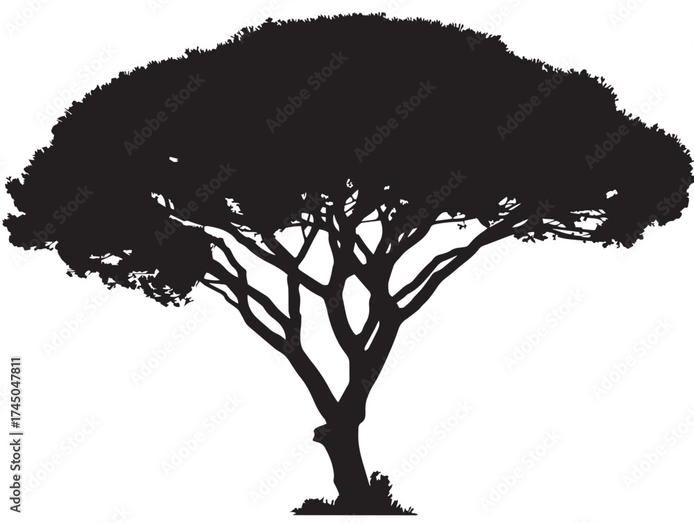 Fototapeta premium Tree with Canopy Shade 2D Vector Line Art Silhouette Illustration