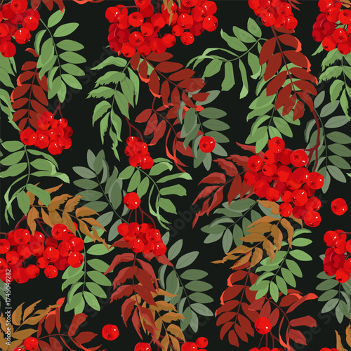 Mountain ash branches against a black background. Seamless vector illustration. Perfect for decorating textiles, packaging, and wallpaper.
