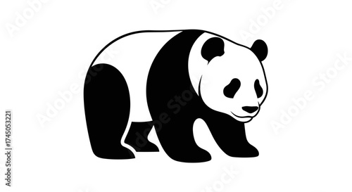 Giant Panda Bear Black and White Illustration.