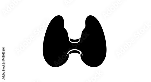 Human lungs silhouette illustration on white background for medical purposes.