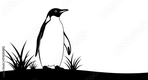 Penguin Standing Tall in a Grassy Landscape.