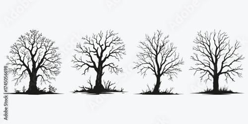 old dry tree sketch illustration vector set
