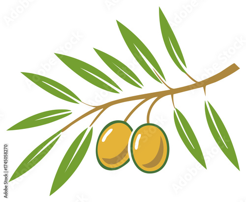 Stylized olive branch with green leaves and two golden olives on a white background