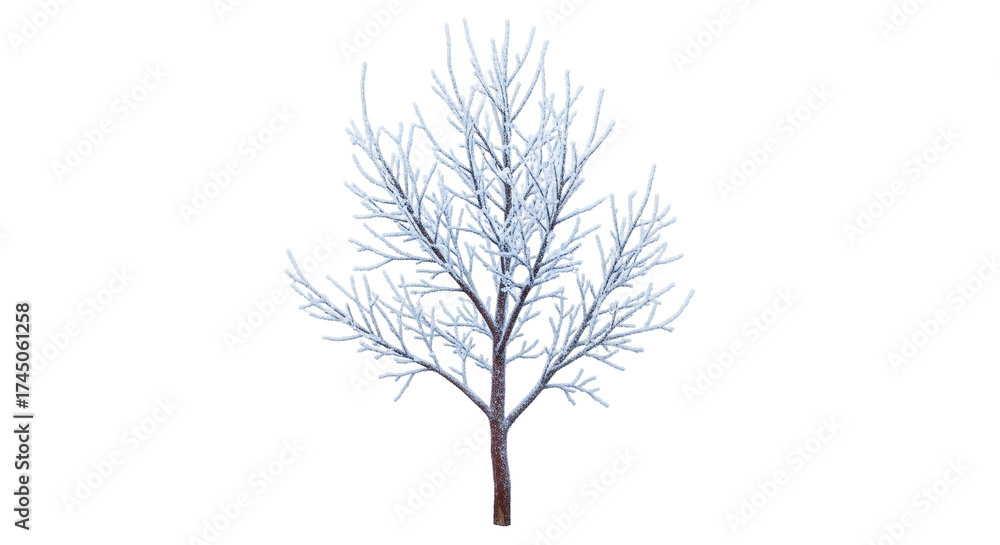 Fototapeta premium Isolated bare tree branch against a neutral backdrop, leafless twigs covered in frost