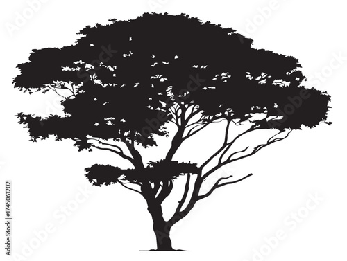 Mysterious Tree Covered In Fog Elegant 2D Vector Line Artwork  