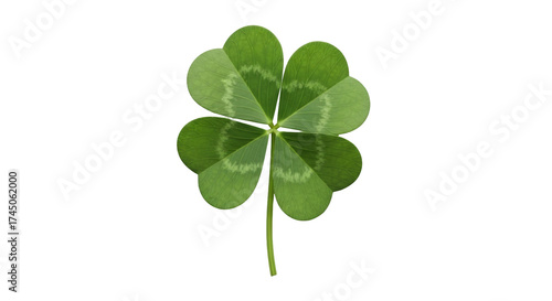 Isolated four-leaf clover, symbol of good luck, St Patrick's Day festive lucky shamrock