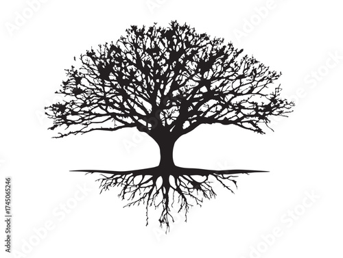Artistic Tree With Knotted Hanging Roots Illustration