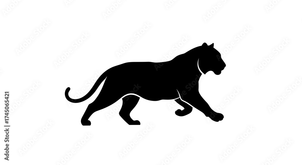 Fototapeta premium Silhouette of a majestic black panther walking confidently.