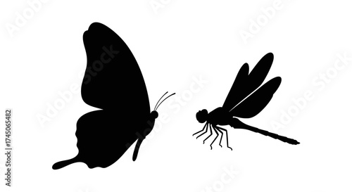 Silhouettes of a graceful butterfly and a delicate dragonfly captured in stark black against a pristine white background showcasing their intricate forms and ethereal beauty.
