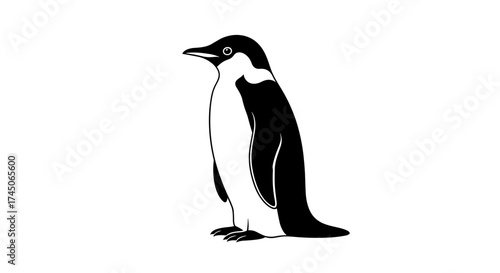 Simple black and white line art drawing of a penguin.