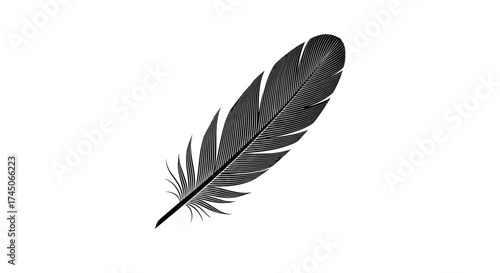 Single black feather isolated on a clean white background showcasing its delicate structure and soft texture.