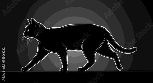 Sleek Black Cat Silhouette Walking in a Dark Mysterious Setting with Subtle Backlighting.