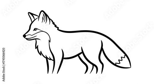 Stylized Standing Fox Black and White Line Art Illustration.
