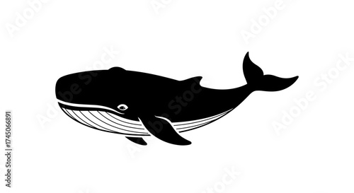 Whale Silhouette Illustration Marine Mammal in Black and White.