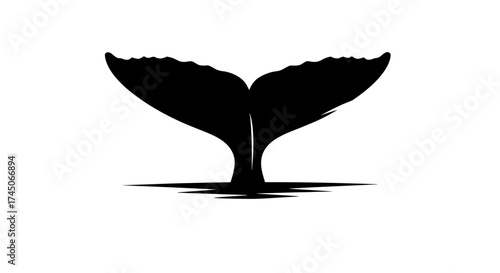 Whale tail silhouette against white background minimalist design.